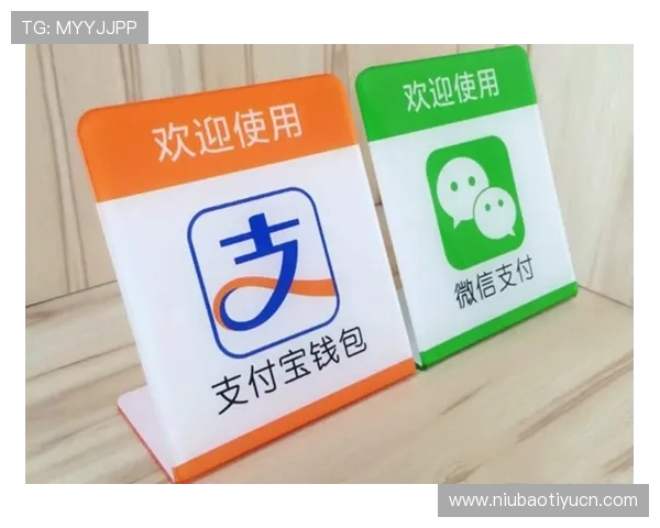 爱赢体育官网支持多种支付方式,保障您的资金安全,轻松进行体育投注和充值