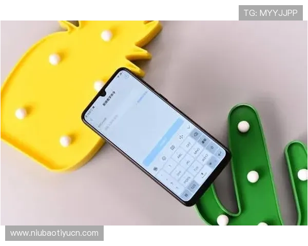 蓝鲸体育官网登录入口最新指南帮助玩家顺利进入游戏体验全流程解析